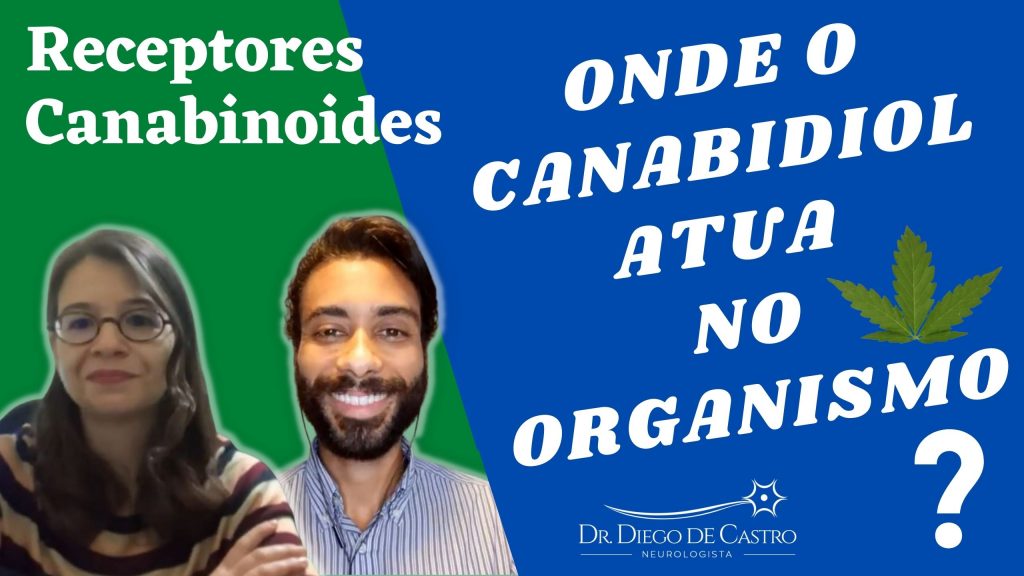 Onde o Canabidiol Atua no Organismo