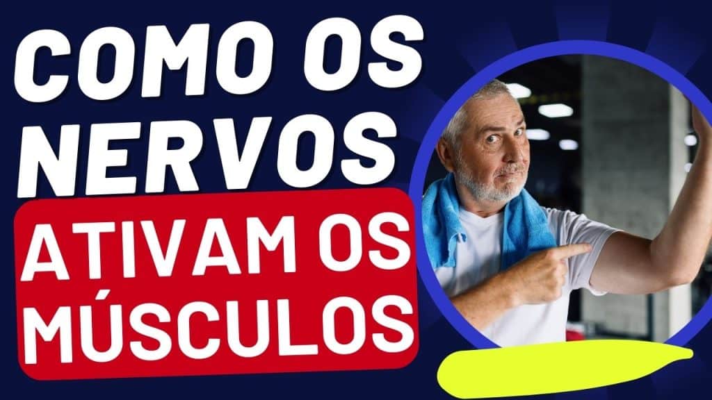 Como os Nervos Ativam os Músculos - Dr Diego De Castro Neurologista